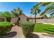Well-maintained backyard with trimmed bushes and palm trees enhance the home's outdoor appeal at 7365 W Magdalena Ln, Laveen, AZ 85339
