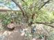 Charming backyard space with mature trees and landscape decor at 1118 E Orangewood Ave, Phoenix, AZ 85020