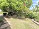Spacious backyard with grass, tall cactus, and mature trees offers privacy and shade at 1118 E Orangewood Ave, Phoenix, AZ 85020