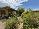 Backyard garden with mature landscaping, providing a private and natural outdoor space at 1118 E Orangewood Ave, Phoenix, AZ 85020