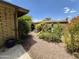 Backyard garden with mature landscaping, providing a serene and natural outdoor space at 1118 E Orangewood Ave, Phoenix, AZ 85020