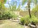 Lush backyard with diverse plants, trees, and rock features creates a serene environment at 1118 E Orangewood Ave, Phoenix, AZ 85020