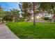 Expansive grassy area with mature trees, a walking path, and residential homes in the background at 1825 W Ray Rd # 1070, Chandler, AZ 85224