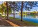 Scenic lake view framed by mature trees and green spaces, offering a tranquil and picturesque setting at 1825 W Ray Rd # 1070, Chandler, AZ 85224