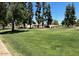 Beautifully maintained neighborhood green space at 1914 S Brooks Cir, Mesa, AZ 85202