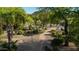 Tranquil view of home's lush landscaped walking path, plants and mature trees at 2233 E Behrend Dr # 162, Phoenix, AZ 85024