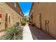 Charming walkway lined with desert landscaping leading to townhomes, creating an inviting outdoor space at 2250 E Deer Valley Rd # 26, Phoenix, AZ 85024