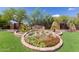 Well-maintained Solera entrance with vibrant flower beds and manicured shrubs at 3755 E Hazeltine Way, Chandler, AZ 85249