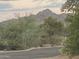 Picturesque view of a distant mountain range, framed by vibrant green desert foliage at 5625 N 45Th St, Phoenix, AZ 85018