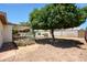 Spacious backyard featuring a mature orange tree, covered patio, and a view of the refreshing pool at 730 W Curry St, Chandler, AZ 85225