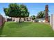 Lush backyard showcasing a mature orange tree and refreshing pool area creating a serene outdoor oasis at 730 W Curry St, Chandler, AZ 85225