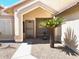 A welcoming front entrance with a decorative security door and a palm tree planter at 9109 W Watson Ln, Peoria, AZ 85381