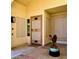 Close-up of the front entrance featuring a security door and decorative plants at 9109 W Watson Ln, Peoria, AZ 85381