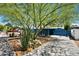 Beautiful property with desert landscaping, a large tree, a paved path, and a blue exterior at 1029 E Palo Verde Dr, Phoenix, AZ 85014