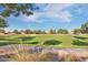 Expansive community park with lush green space, mature trees, and recreational facilities at 1101 W Oleander Ave, Queen Creek, AZ 85140