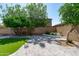 Secluded backyard featuring artificial turf, a patio, a privacy wall and mature trees at 12546 N 142Nd Ln, Surprise, AZ 85379