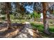 Scenic community pathway lined with mature trees and lush landscaping, perfect for a leisurely stroll at 12546 N 142Nd Ln, Surprise, AZ 85379