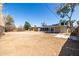 Spacious backyard with mature trees and potential for landscaping at 1628 E Sunland Ave, Phoenix, AZ 85040