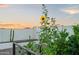 Backyard featuring a raised garden bed, desert plants, and a serene sunset backdrop at 17706 N Rosa Dr, Maricopa, AZ 85138