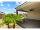 Backyard with palm trees near covered patio at 18032 W Muirwood Dr, Goodyear, AZ 85338