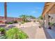 Spacious backyard featuring palm trees, plants, desert landscaping, decorative lighting and a patio at 18118 N Smith Dr, Maricopa, AZ 85139