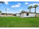 Spacious backyard with lush green grass, mature palm trees, and modern white home at 3707 E Amelia Ave, Phoenix, AZ 85018