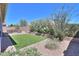 The backyard is landscaped with gravel, and has a rectangular patch of artificial grass and flowering bushes at 41004 W Crane Dr, Maricopa, AZ 85138