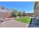 Manicured backyard area with gravel landscaping, artificial turf, and several flowering bushes at 41004 W Crane Dr, Maricopa, AZ 85138