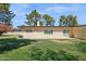 Spacious backyard with lush green lawn, mature trees, and a neutral colored home at 6147 E Lewis Ave, Scottsdale, AZ 85257