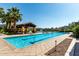 Resort-style pool, ramada, and lounge chairs surrounded by lush landscaping in the community at 919 W Yellowstone Way, Chandler, AZ 85248