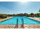 Community pool featuring resort style lounge seating, mature landscaping, and blue skies at 919 W Yellowstone Way, Chandler, AZ 85248