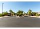 View of neighborhood street lined with mature palm trees at 919 W Yellowstone Way, Chandler, AZ 85248