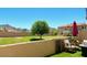 Large backyard with grassy lawn, mature tree and privacy wall, perfect for outdoor living at 10229 N 12Th Ct # 1, Phoenix, AZ 85020