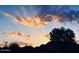 Beautiful sunset with vibrant colors, silhouetted trees, and mountain range at 10229 N 12Th Ct # 1, Phoenix, AZ 85020