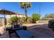 Inviting backyard with patio seating, lush landscaping, palm tree, gravel beds and grass at 1145 E Lowell Ave, Gilbert, AZ 85295