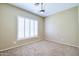 Bedroom featuring carpet flooring, a ceiling fan, and white plantation shutters for privacy at 1470 W Bartlett Way, Chandler, AZ 85248