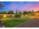 Lush backyard at twilight featuring a manicured lawn, mature trees, and a privacy fence, offering a serene outdoor space at 5861 E Anderson Dr, Scottsdale, AZ 85254