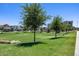 Expansive community green space with mature trees and well-maintained lawn at 631 W Winchester Dr, Chandler, AZ 85286