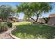 Expansive backyard with a manicured lawn, mature trees, and carefully designed landscaping at 6428 W Eugie Ave, Glendale, AZ 85304