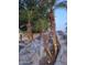 Waterfall feature with lush palm trees creates a serene pool environment at 7527 E Nestling Way, Scottsdale, AZ 85255