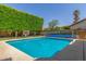 Backyard pool with privacy hedge, basketball hoop, and clear blue water at 12813 S 38Th St, Phoenix, AZ 85044
