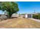 Expansive backyard featuring a large tree and detached garage, offering outdoor living and storage at 2041 N 16Th Ave, Phoenix, AZ 85007