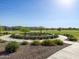 Lush community garden featuring mature trees and landscaping at 2519 E Fortana Dr, San Tan Valley, AZ 85143