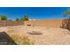 Desert landscaped backyard with gravel and stone elements, offering low maintenance design at 298 W Dana Dr, San Tan Valley, AZ 85143