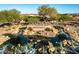 Water feature at Bridges at Gilbert entrance with mature trees and lush landscaping at 3523 E Alfalfa Dr, Gilbert, AZ 85298