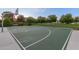 Well-maintained community basketball court with green playing surface surrounded by mature trees and landscaping at 5218 N Tiller Dr, Litchfield Park, AZ 85340