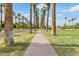 Palm trees line the sidewalk in this lush desert community near a golf course at 5218 N Tiller Dr, Litchfield Park, AZ 85340
