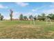 Community soccer field with lush grass, green trees, and clear blue sky at 5218 N Tiller Dr, Litchfield Park, AZ 85340