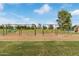 Various swing sets in a playground in a lush park setting at 5218 N Tiller Dr, Litchfield Park, AZ 85340