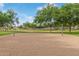 Sand volleyball court in a community park with a lush green grass and tall trees at 5218 N Tiller Dr, Litchfield Park, AZ 85340